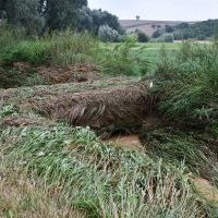 Przydrożne namulisko przy drodze powiatowej w Witowicach w gminie Charsznica