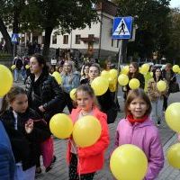 20. Pola Nadziei w Miechowie - żółty - kolor nadziei symbolem akcji