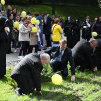 20. Pola Nadziei w Miechowie - Starosta Jacek Kobyłka i goście sadzą żonkile w miechowskim Parku