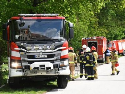 Strażacy pod Pałacem na Mirowie w Książu Wielkim