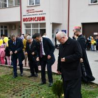 Sadzenie żonkili w rabatce przed Hospicjum